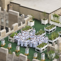 The Culinary Team atop the Waldorf Astoria Roof Garden